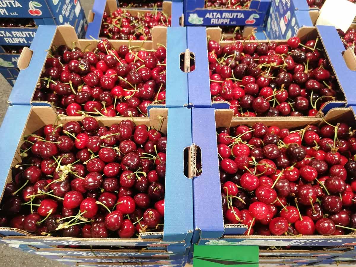 Ciliegie Origine Italia cal.30+ prezzo 7-8 €/Kg